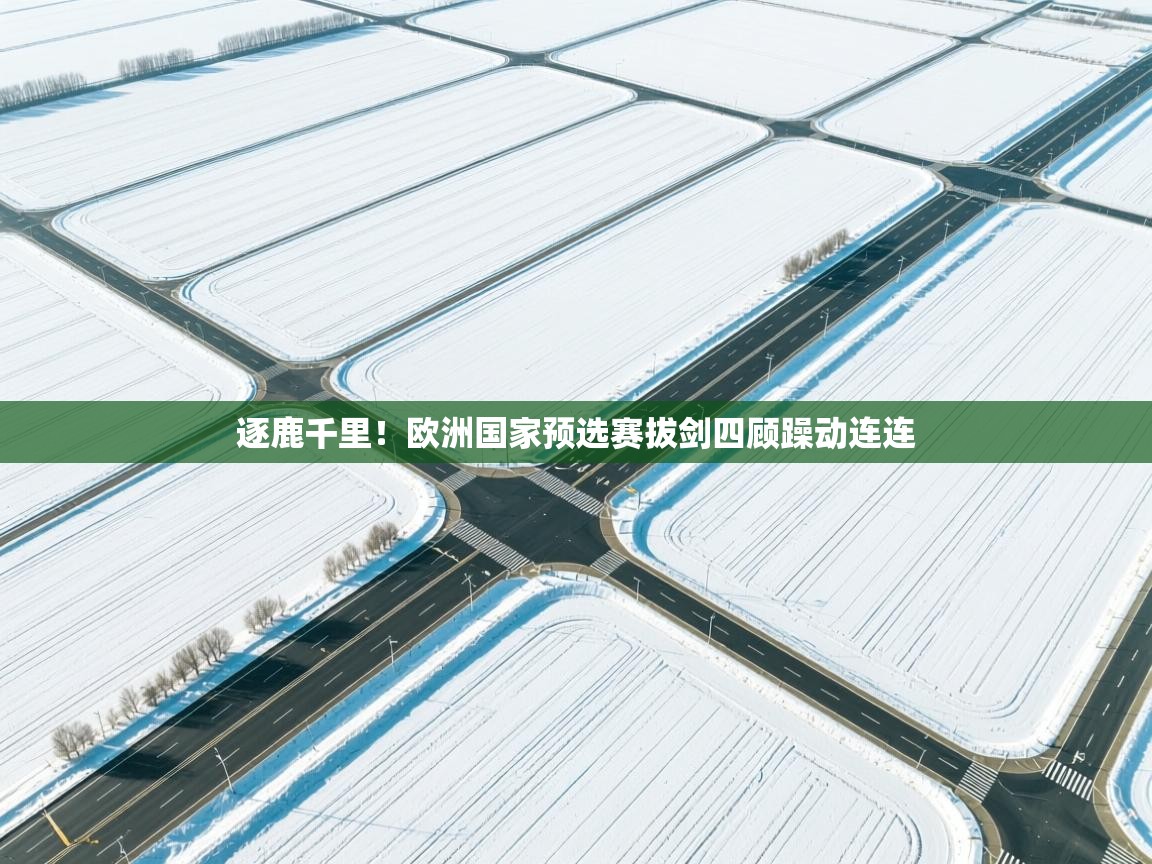 逐鹿千里!欧洲国家预选赛拔剑四顾躁动连连 第2张