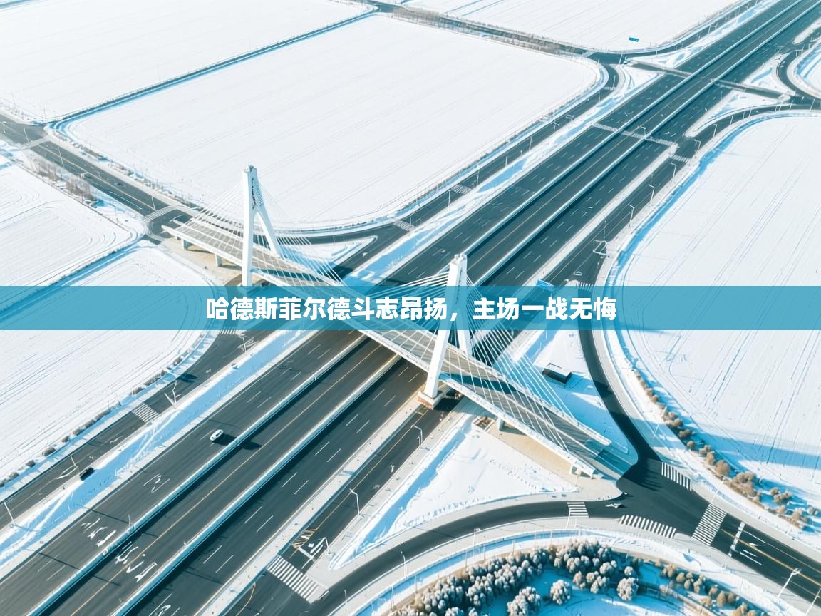 哈德斯菲尔德斗志昂扬，主场一战无悔  第2张